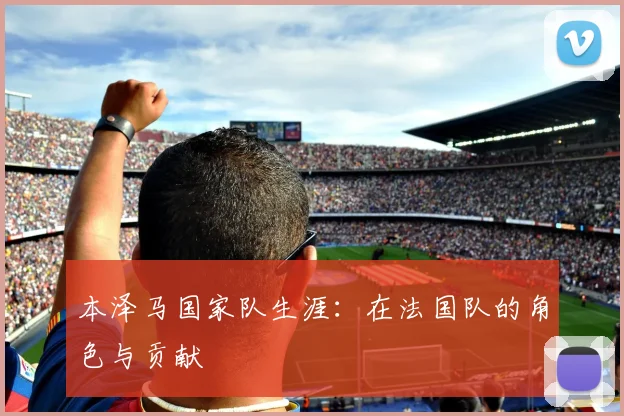 本泽马国家队生涯:在法国队的角色与贡献