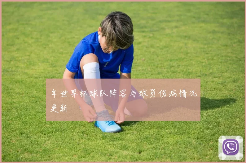 年世界杯球队阵容与球员伤病情况更新